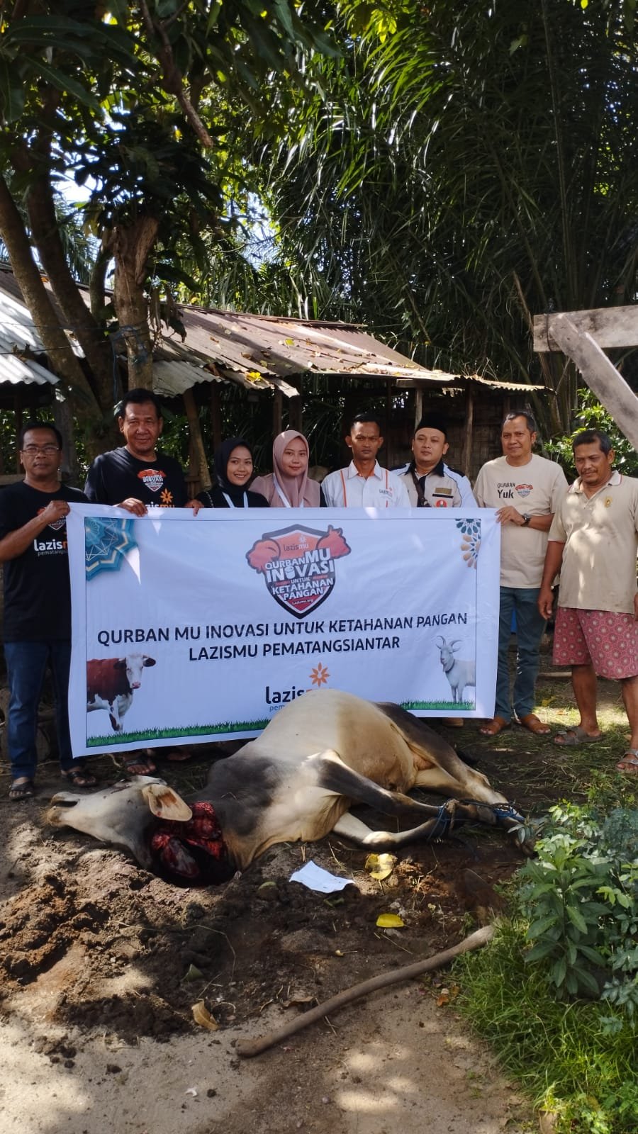 LazisMu Pematang Siantar Distribusikan Kurban ke Kawasan 3-T - Girimu