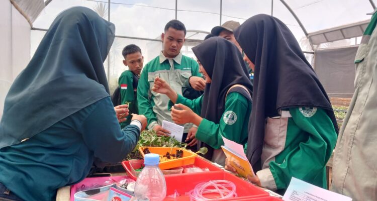 8790ca12-eb1a-42f5-b0c4-a7d39ed05ba7